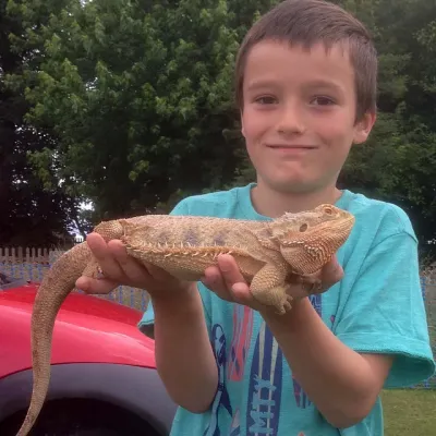 Petaholics Pet Parties 5